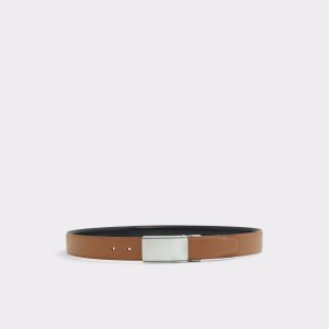 Cinturones Aldo Griseus Marrones | 8254096-VW
