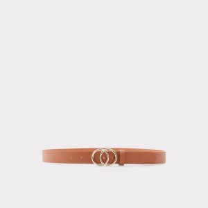 Cinturones Aldo Lilywynd Marrones | 4913067-DE
