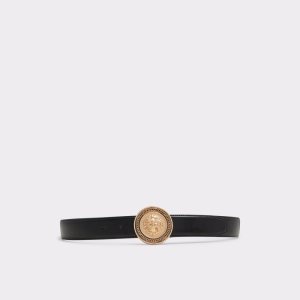 Cinturones Aldo Noidien Negras Doradas Multicolor | 6194270-XJ