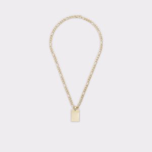 Collar Aldo Hettingen Doradas | 8279065-JO