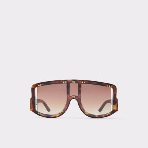 Gafas de Sol Aldo Javabriclya Shield Marrones | 0724981-NS