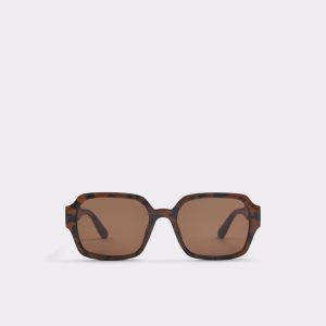 Gafas de Sol Aldo Quoll Marrones | 8193026-NZ