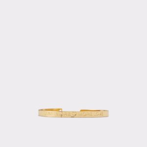 Pulsera Aldo Eowaldan Bacelet Doradas | 7591230-LZ