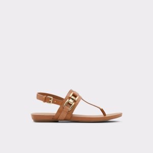 Sandalias Aldo Gannamaryn T-strap Sandal Marrones | 3829401-QW