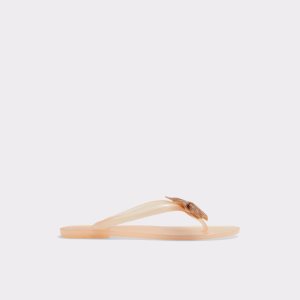 Sandalias Aldo Kahala Planos Sandal Beige | 8356219-PK