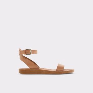 Sandalias Aldo Kedaredia Planos Sandal Marrones | 9831046-OE