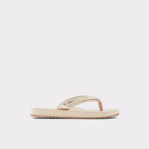Sandalias Aldo Polo Flip Flops Multicolor | 9672084-PS