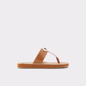 Sandalias Aldo Searene Flip Flop Marrones | 6723189-OS