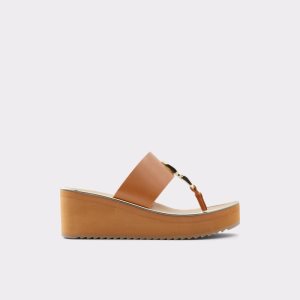 Sandalias Aldo Toea Tanga Sandal - Wedge Marrones | 5276418-NH