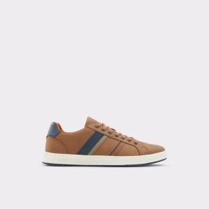 Zapatillas Aldo Citywalk Low Top - Cup Sole Marrones | 9510273-SK