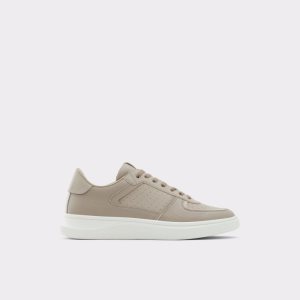 Zapatillas Aldo Drishtia Low Top Marrones | 2570684-SX