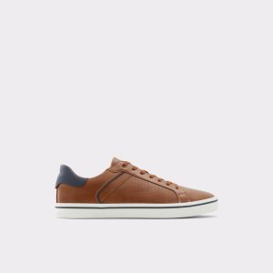 Zapatillas Aldo Warrem Low Top Marrones | 0648137-WG